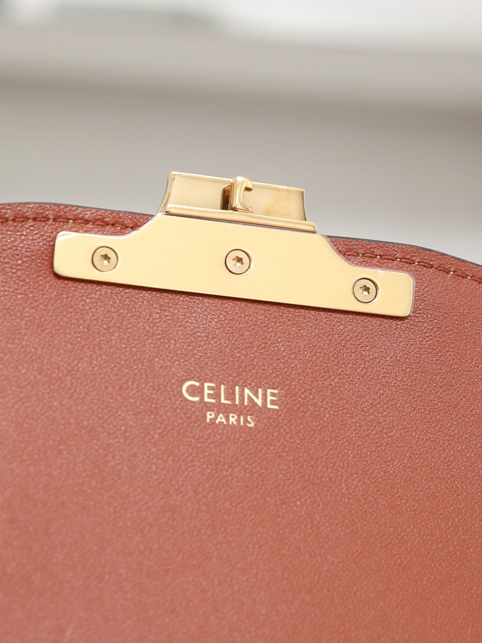 Celine Triomphe Bags